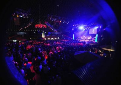Florian Stöger live on stage